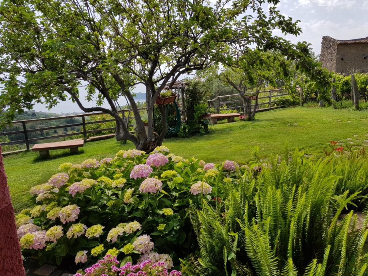 B&B La Sirenetta Диаманте Экстерьер фото