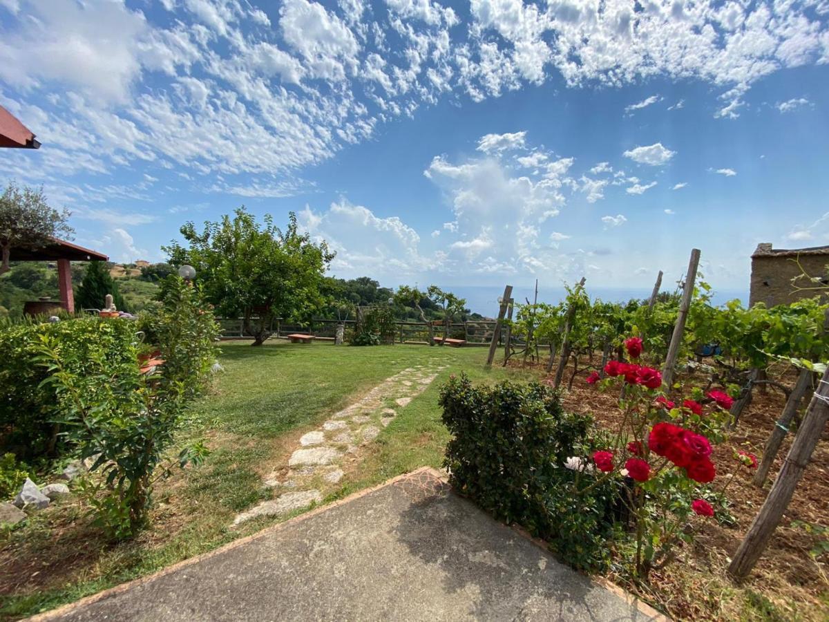 B&B La Sirenetta Диаманте Экстерьер фото