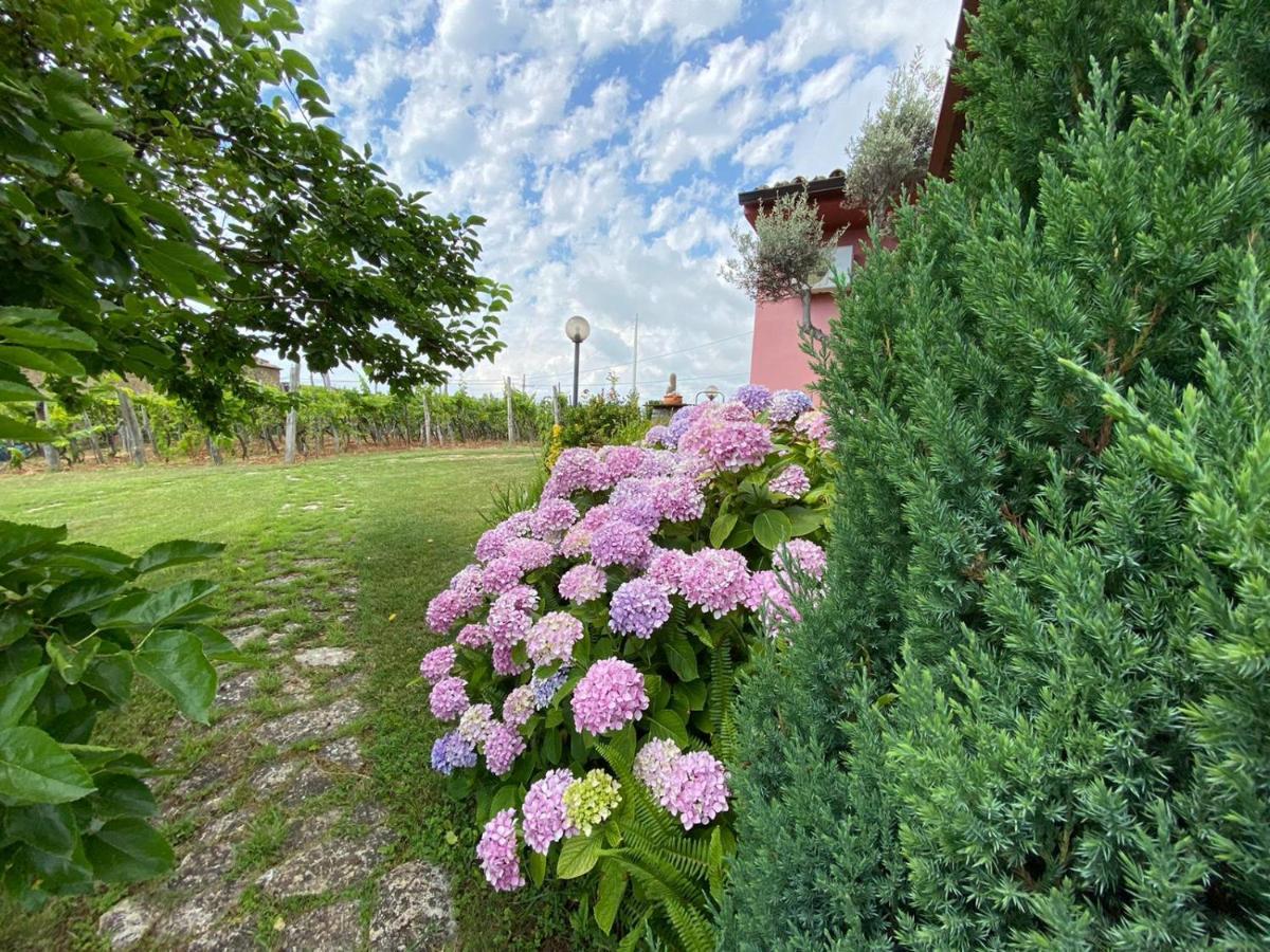 B&B La Sirenetta Диаманте Экстерьер фото